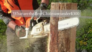 Best Chainsaw under $300