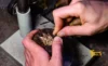 sharpen hand engraving tools