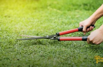 the best grass-cutting hand tools