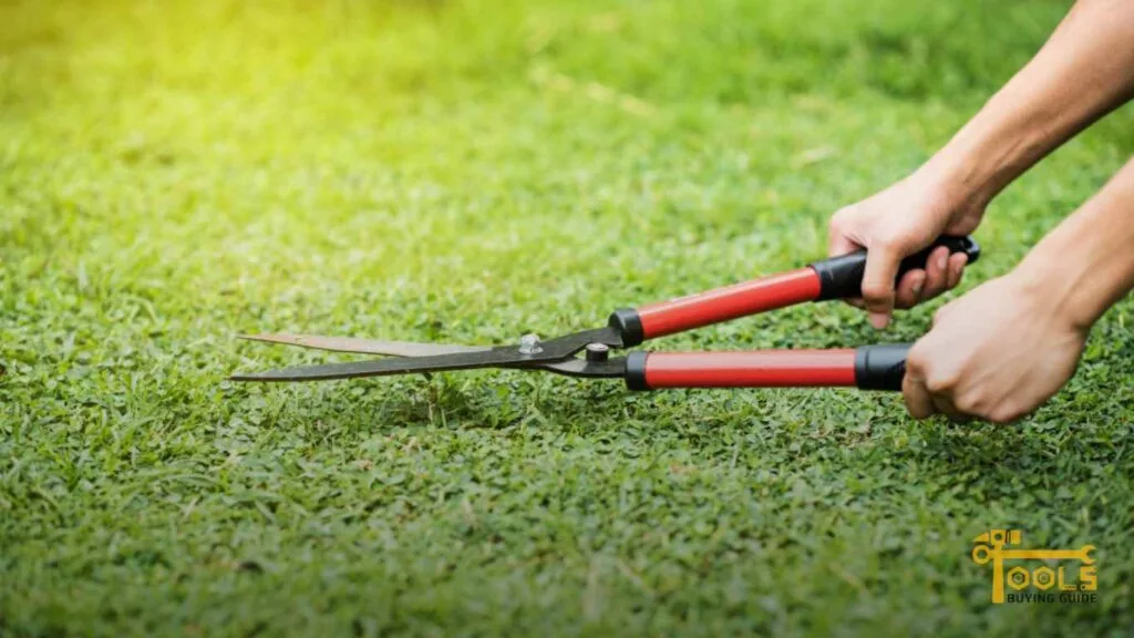 the best grass-cutting hand tools