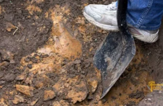 Top Five Best Tools For Digging In Clay