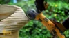 best angle grinder for wood carving