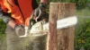best chainsaws under $300 $200 and $100