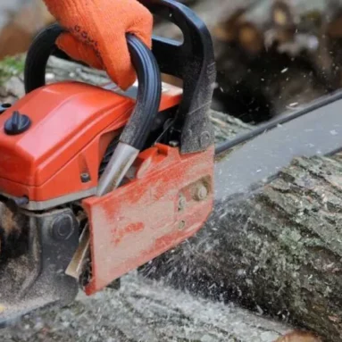 Best Chainsaws for Cutting Trees: Quick & Effortless Tree Trimming