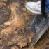 Best Tool Belt for Roofing: From Shingles to Nails