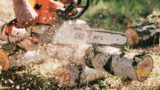 Chainsaw Chain For Hardwood: The Best Chainsaws To Use on Your Jobsite